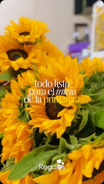 Girasoles